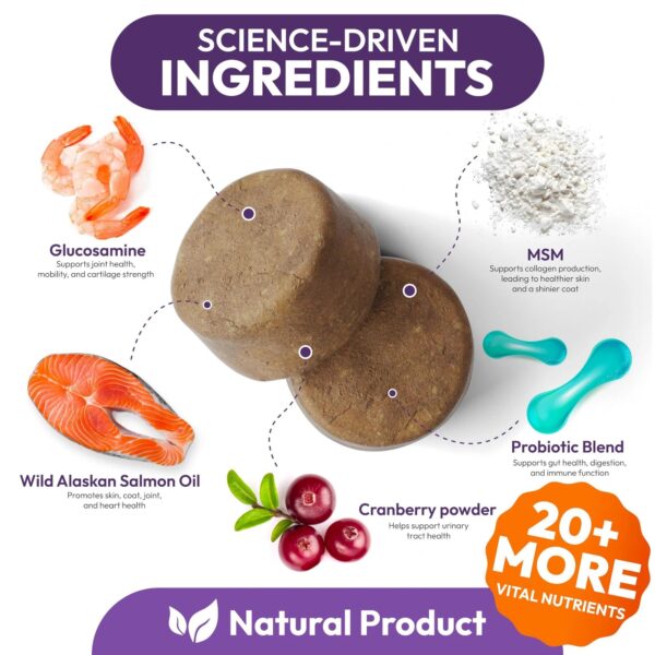 Dog Multivitamin Chewable Dog Vitamins And Supplements With Glucosamine 170 Chews Hip & Joint Pet Immune Support Skin & Coat Gut & Heart Health Senior & Puppy Multivitamin Pet Supplement